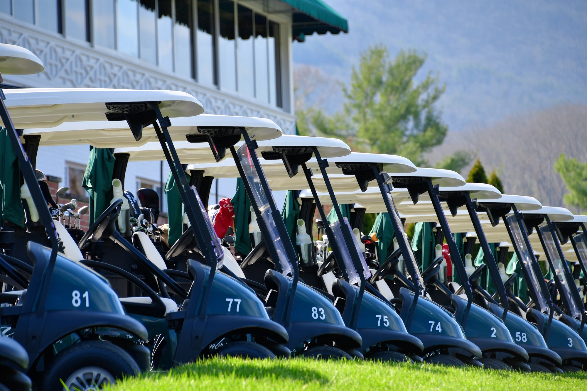 Golf Carts allineati in un campo da golf